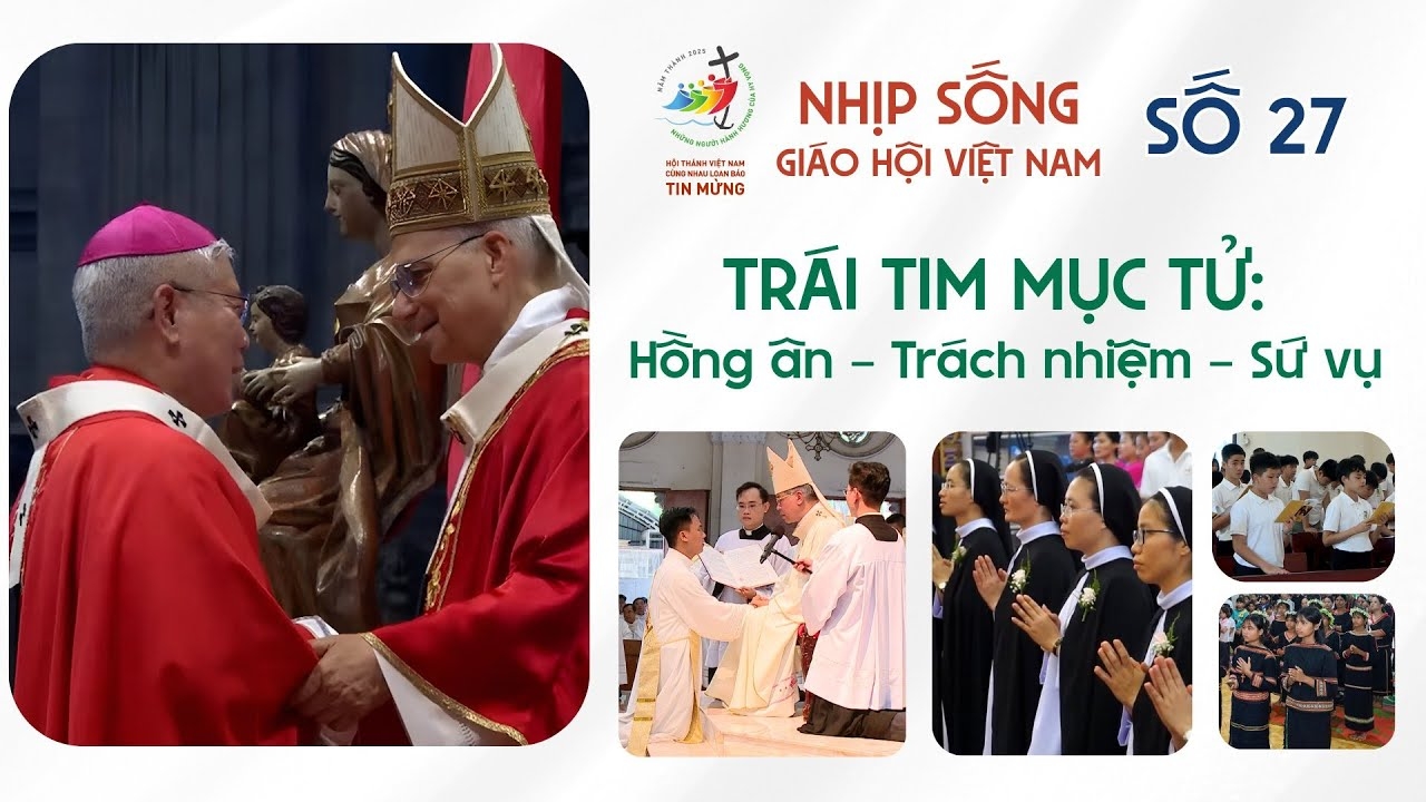 nhip song giao hoi viet nam so 27 236   3062025 trai tim muc tu hong an   trach nhiem   su vu