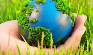 Học tập Thông điệp Laudato Si’ - Bài 9 - Phục Hồi và Bảo Vệ Sự Vẹn Toàn Của Tạo Thành