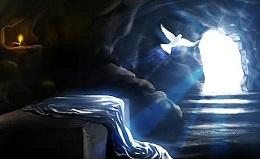 Ông đã thấy và ông đã tin (05/4/2026 – Chúa nhật Phục sinh)