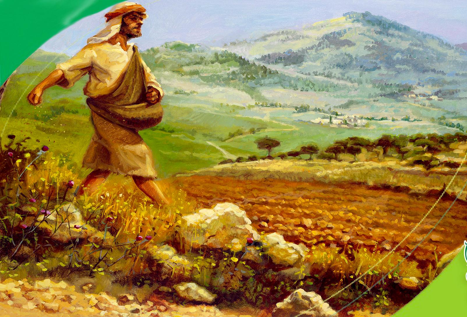 Sinh hoa kết quả (24/7/2024 - Thứ Sáu tuần 16 Thường niên)