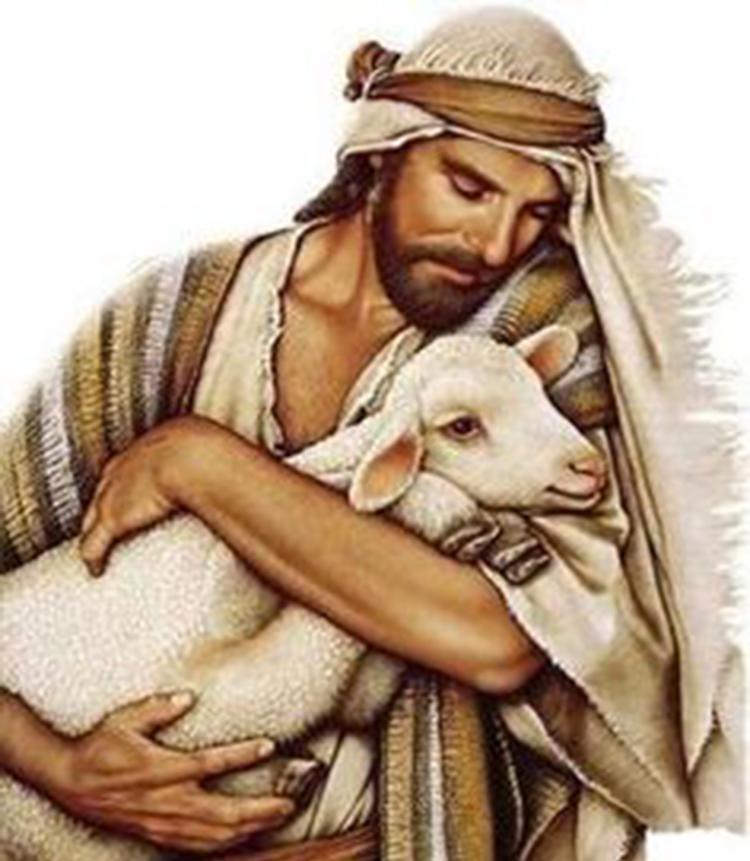 Được sống dồi dào (26/4/2026 - Chúa nhật 4 Phục sinh năm A, Chúa nhật Chúa Chiên Lành)