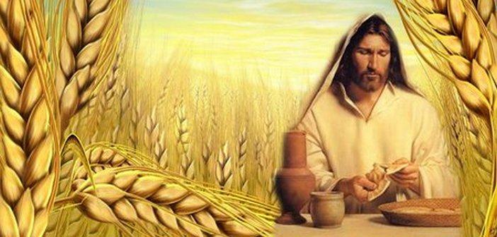 Đến với tôi, tin vào tôi (22/4/2026 - Thứ Tư tuần 3 Phục sinh)