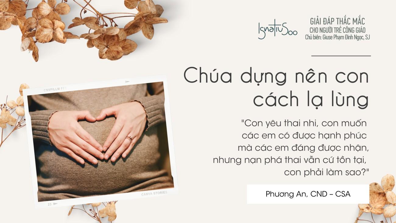 Giải đáp thắc mắc cho người trẻ - Chúa dựng nên con cách lạ lùng
