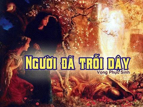 Đêm Hồng Phúc Nhân Thế