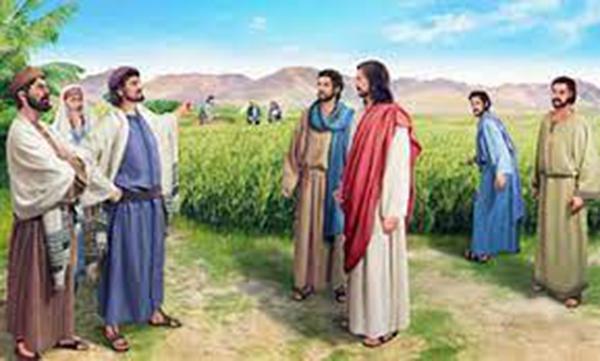 Ta muốn lòng nhân  (17/7/2026 - Thứ Sáu tuần 15 Thường niên)