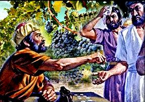 Vì tôi tốt bụng (19/8/2026 - Thứ Tư tuần 20 Thường niên)