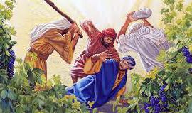 Sinh hoa lợi (04/10/2026 – Chúa nhật 27 Thường niên năm A)
