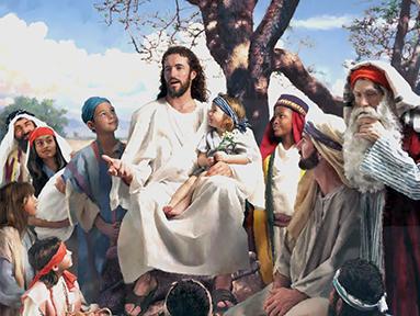 Con ngợi khen Cha (09/7/2026 - Chúa nhật 14 Thường niên năm A)