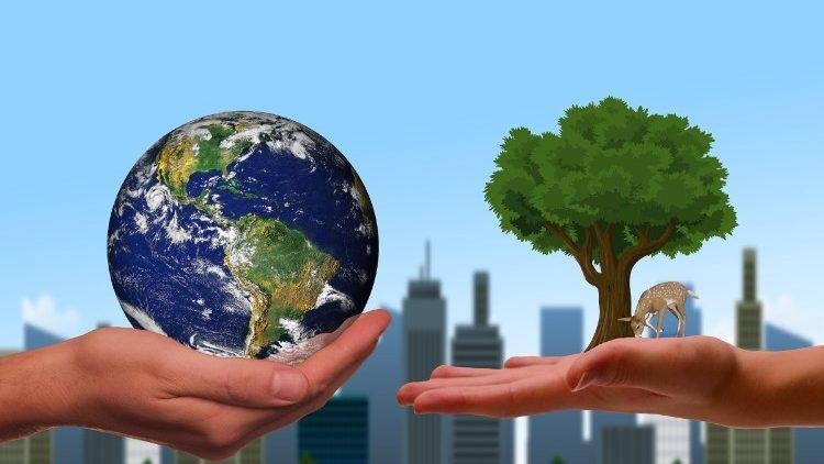 Học tập Thông điệp Laudato Si’ - Bài 3 - Lắng Nghe Những Tiếng Rên Siết Của Thiên Nhiên