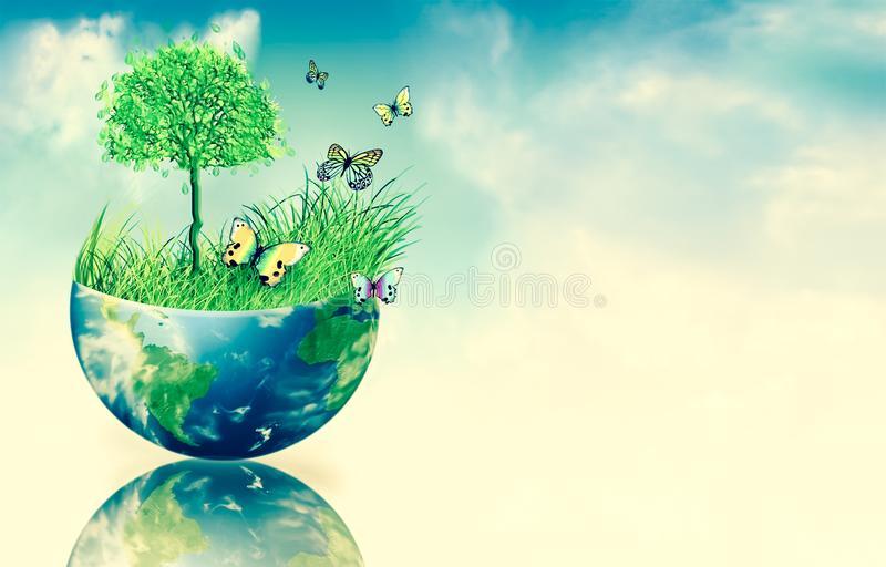 Học tập Thông điệp Laudato Si’ - Bài 4 - Trách Nhiệm Của Nhân Loại Đối Với Tạo Thành