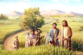 Sai thợ ra gặt lúa (08/7/2025 - Thứ Ba tuần 14 Thường niên)