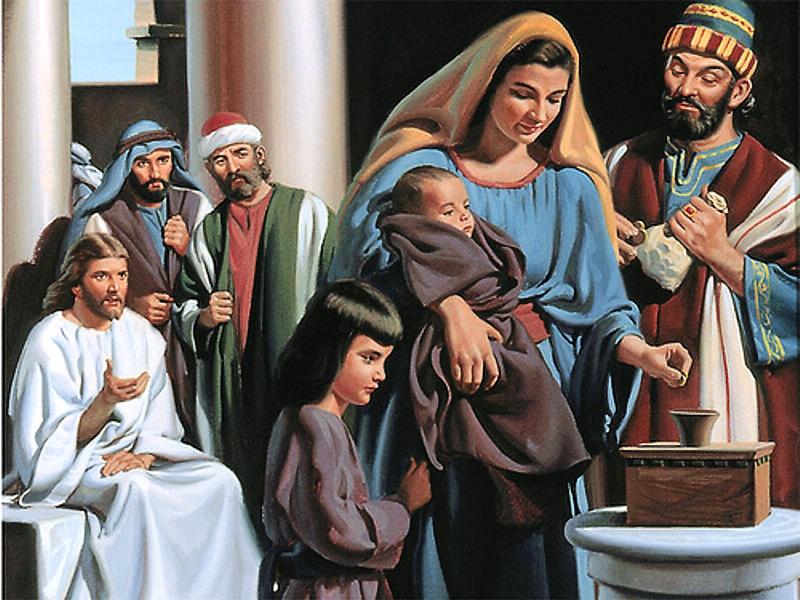 Bỏ vào tất cả (24/11/2025 - Thứ Hai tuần 34 Thường niên)