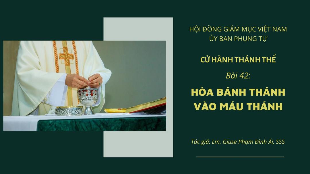 Cử hành Thánh Thể: Bài 42 - Hoà Bánh Thánh vào Máu Thánh