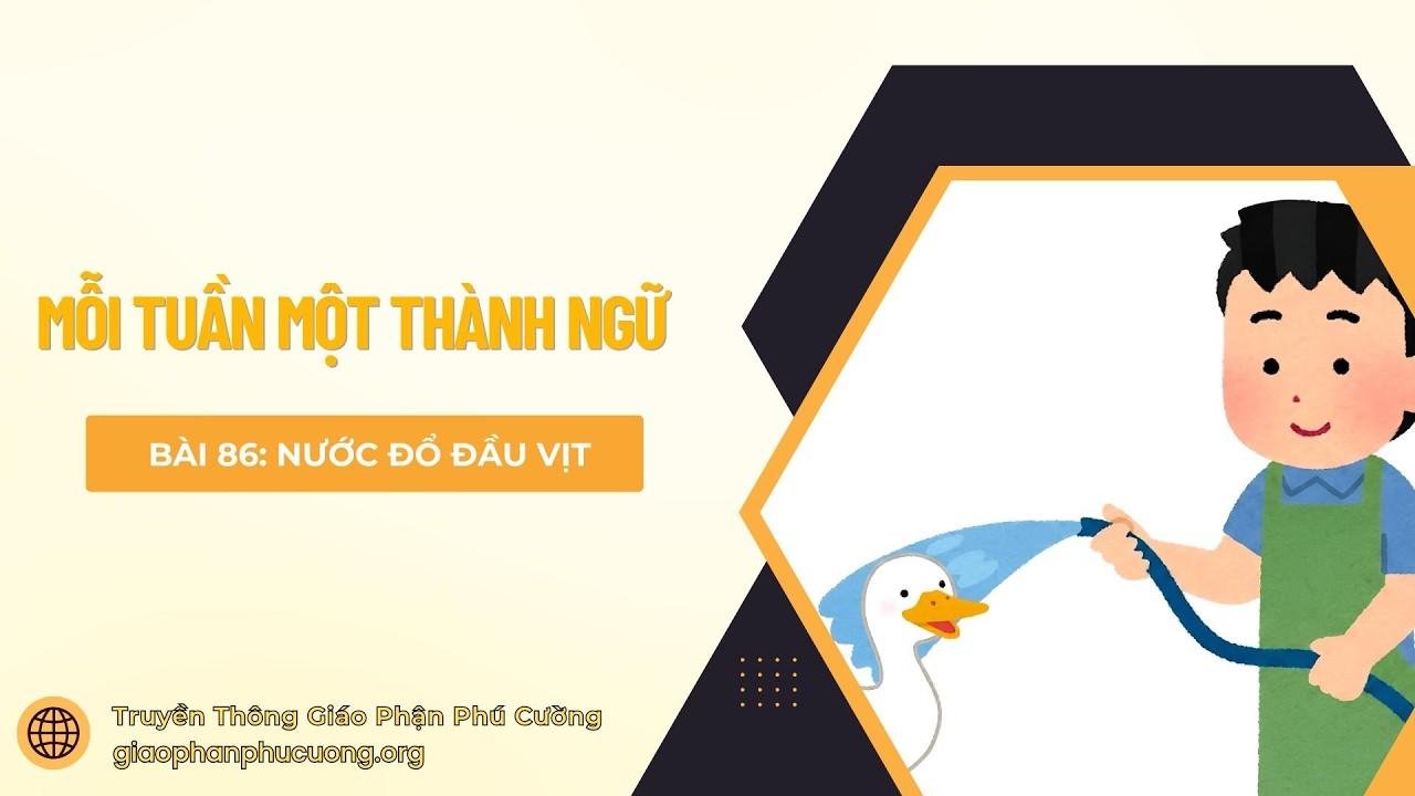 Nước đổ đầu vịt - Mỗi tuần một thành ngữ