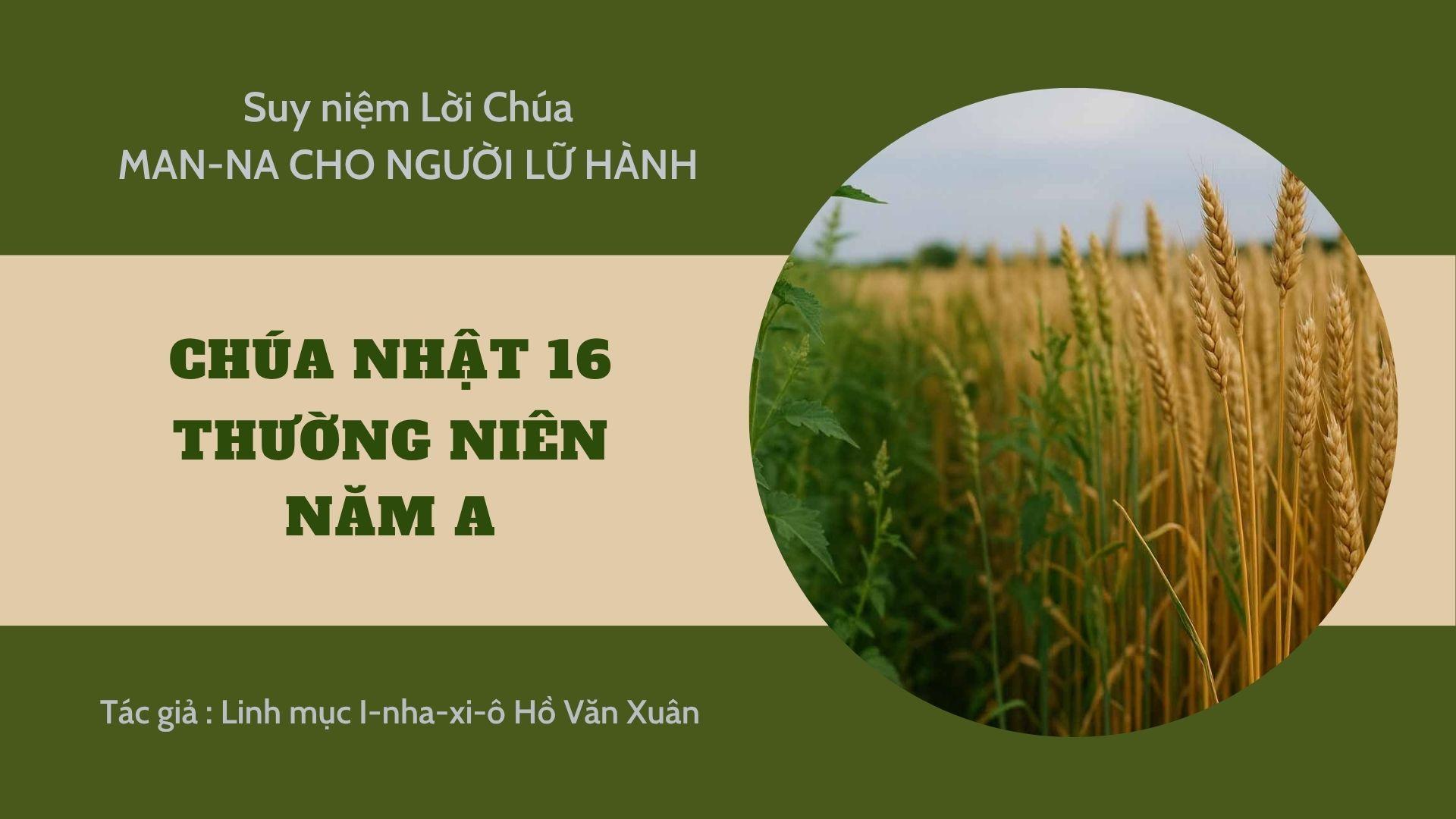 Chúa nhật 16 Thường niên năm A - Man-na cho người lữ hành