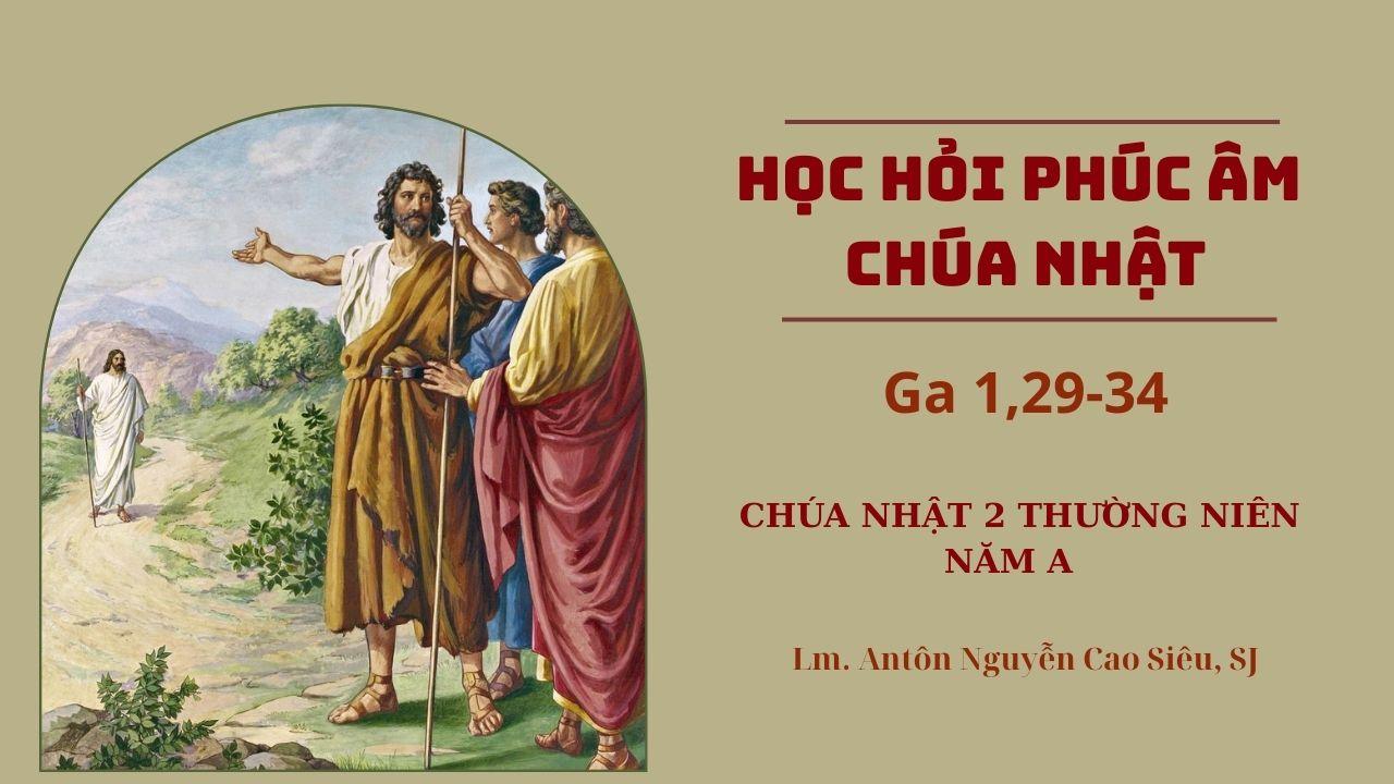 Học hỏi Phúc âm Chúa nhật 2 Thường niên năm A (Ga 1,29-34)