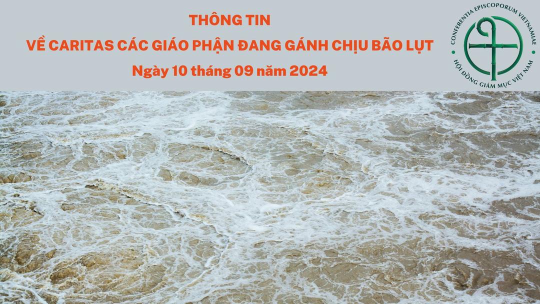 Thông tin về Caritas các giáo phận đang gánh chịu bão lụt