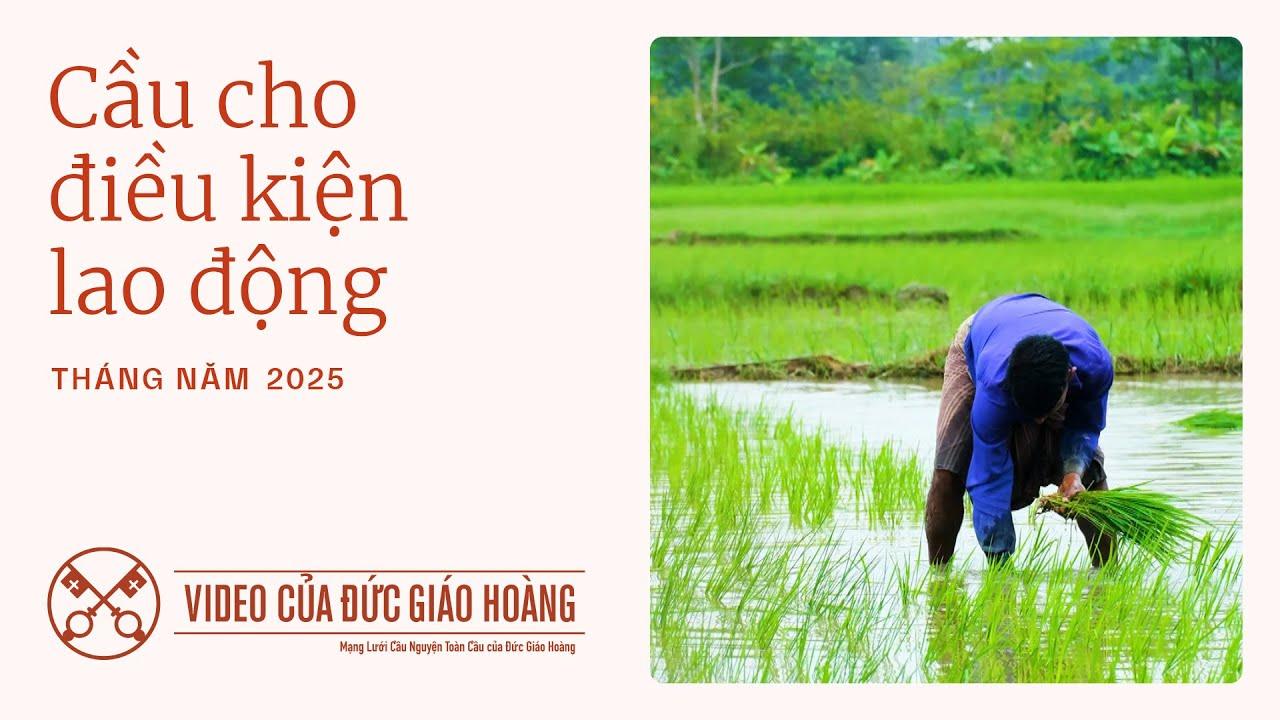 Ý cầu nguyện của Đức Thánh Cha tháng 05.2025: cầu nguyện cho điều kiện lao động