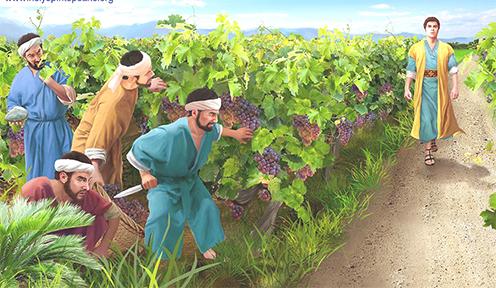 Sinh hoa lợi (06/3/2026 - Thứ Sáu tuần 2 mùa Chay)