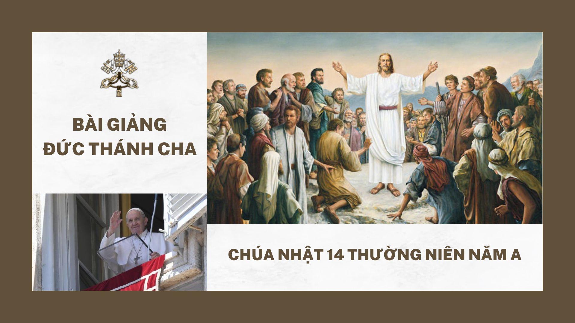 Bài giảng Đức Thánh Cha – Chúa nhật 14 Thường niên năm A