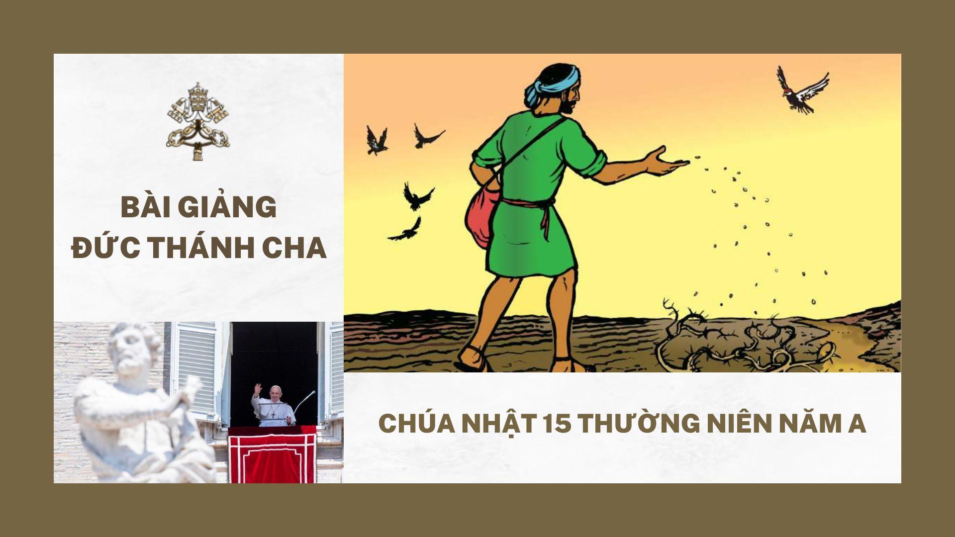 Bài giảng Đức Thánh Cha - Chúa nhật 15 Thường niên năm A