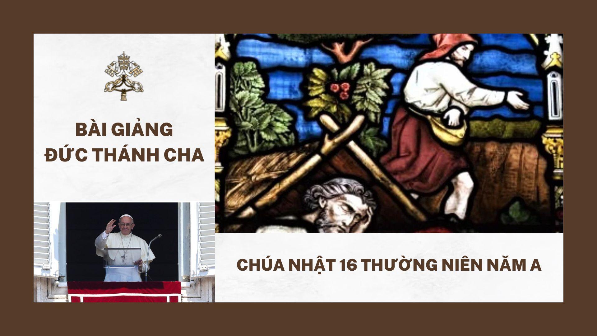 Bài giảng Đức Thánh Cha – Chúa nhật 16 Thường niên năm A