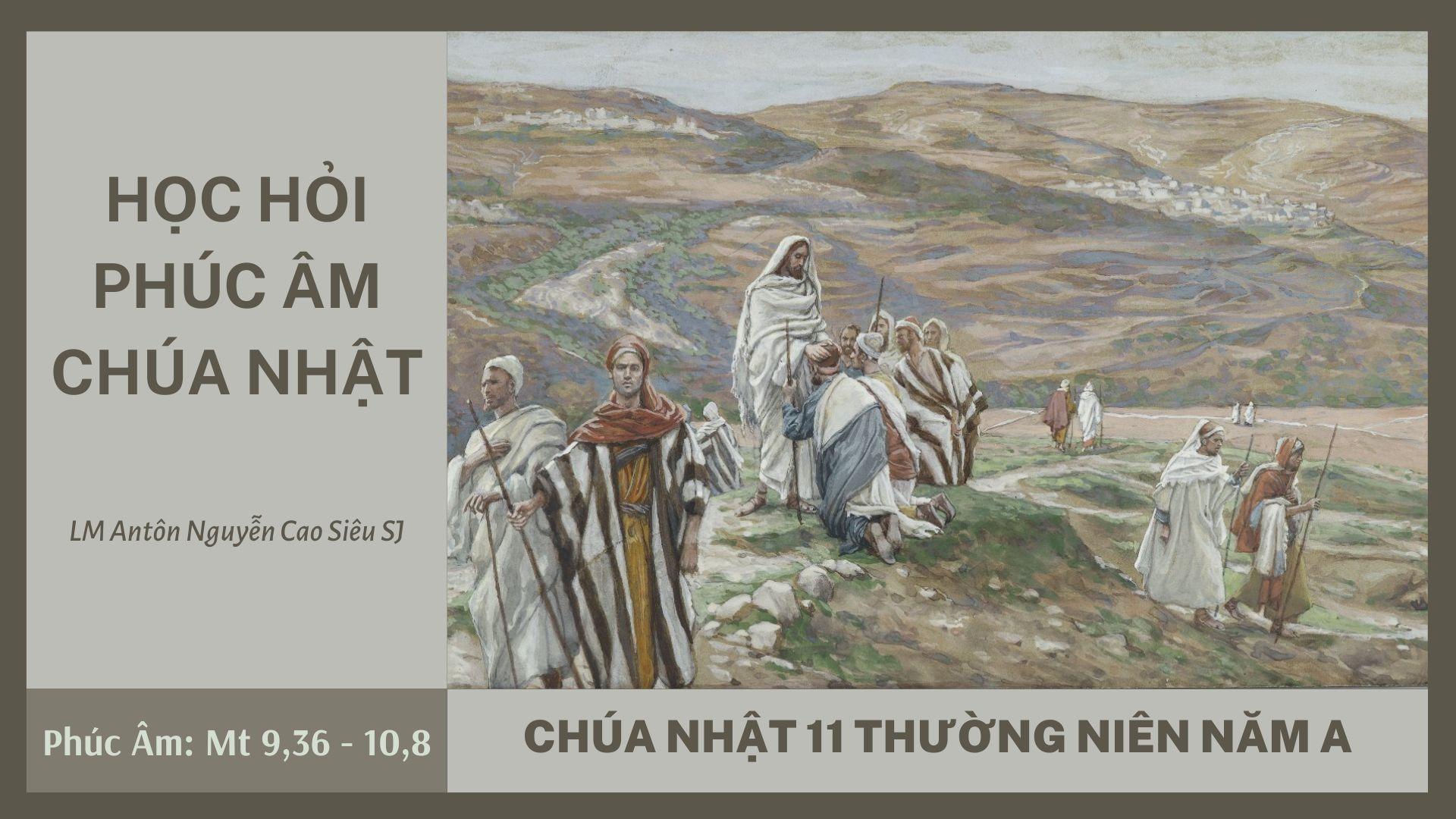 Học hỏi Phúc âm Chúa nhật 11 Thường niên năm A