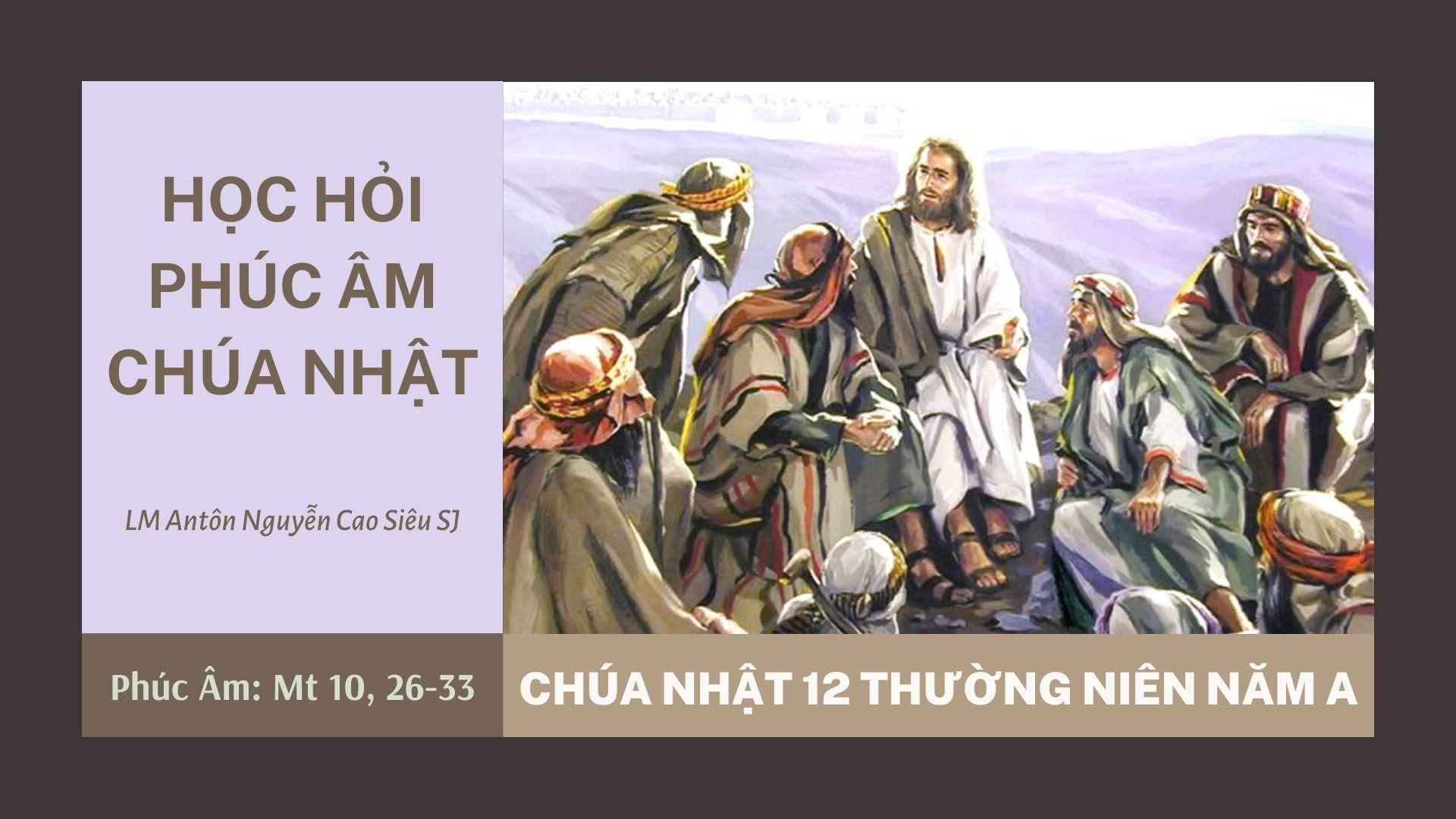 Học hỏi Phúc âm Chúa nhật 12 Thường niên năm A