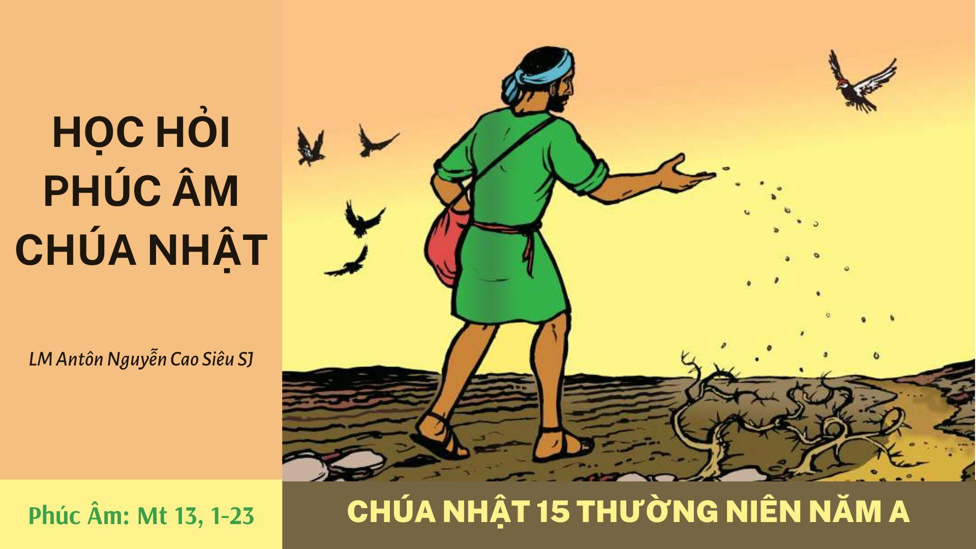 Học hỏi Phúc âm Chúa nhật 15 Thường niên năm A