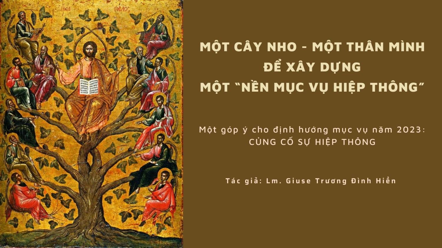 Một cây nho, một thân mình - Để xây dựng một “nền mục vụ hiệp thông”