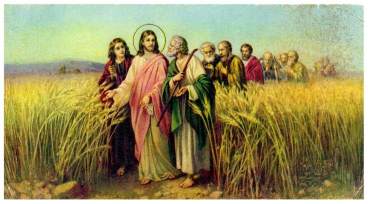 Nhận không, cho không (14/6/2026 - Chúa nhật 11 Thường niên năm A)