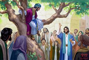 Xuống mau đi (18/ 11/2025 - Thứ Ba tuần 33 Thường niên)