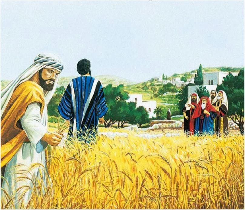 Điều không được phép làm (05/9/2026 – Thứ Bảy tuần 22 Thường niên)